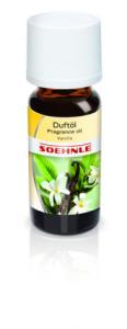 Perfume oil vanila