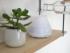 Soehnle Design Aroma Diffuser Bari